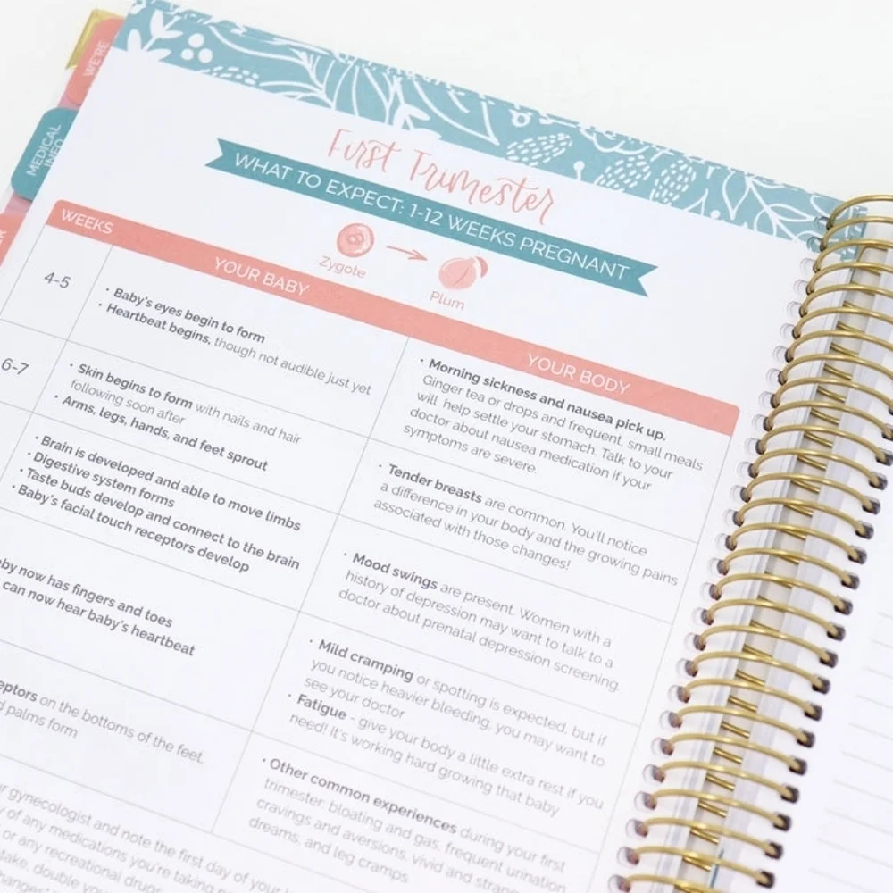 NWT Bloom Pregnancy & Baby's First Year Planner & Calendar, Planning for Joy